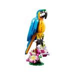 31136-lego-creator-3em1-papagaio-exotico--2-