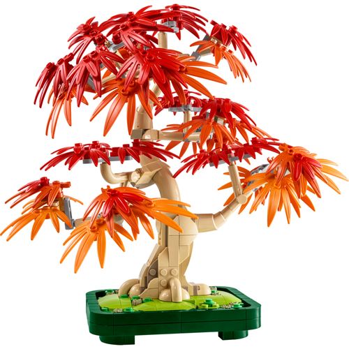 Bonsai de bordo vermelho para quem prefere cores de outono