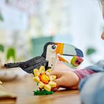 31173-LEGO-Creator-3em1-animais-selvagens-tucano-tropical--2-