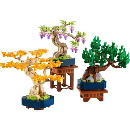 Trio de mini bonsais para distribuir pela estante
