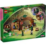 75687-LEGO-Wicked-retiro-elphaba