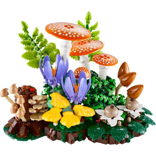Cogumelos da Floresta para sair do óbvio das flores
